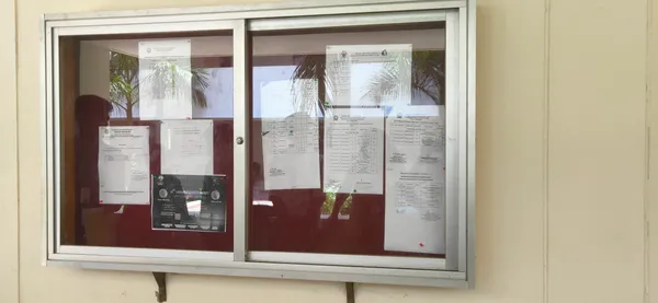 Official City Notices: Weekend Traffic Alerts and Public Health Advisories