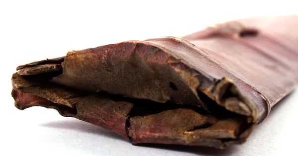 West Side San Antonio robbery leaves victim slashed with machete; police say suspect fled in SUV