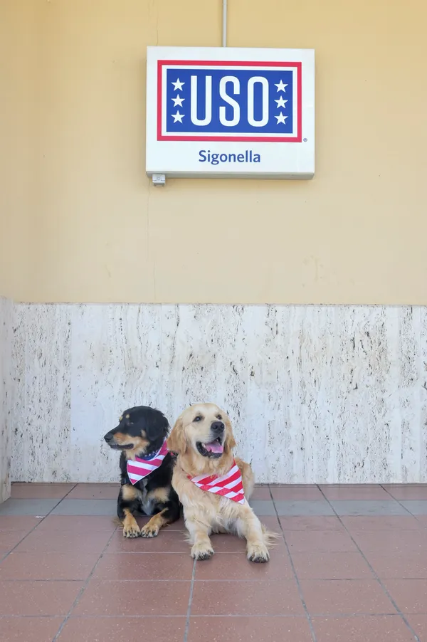 Therapy dogs at San Antonio International Airport offer calm interactions for travelers during peak terminal hours