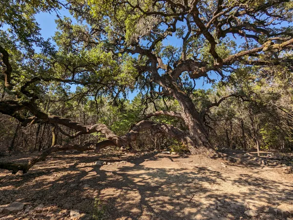 Developer pays San Antonio $3.3 million under conservation plan, enabling Guajolote Ranch land clearing