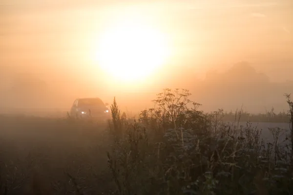 Morning Mist and Toasty Temps Precede an Approaching Weekend Chill