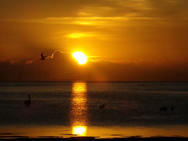 Records detail March 2025 South Padre Island shooting that killed San Antonio resident Ruben Ray Martinez