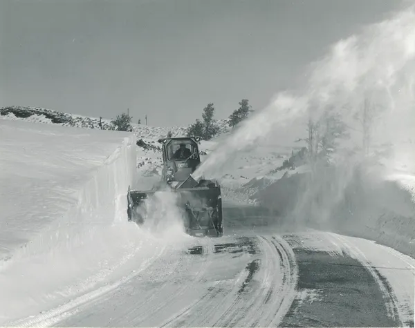 Official City Bulletin: Winter Weather Response and Public Health Advisories