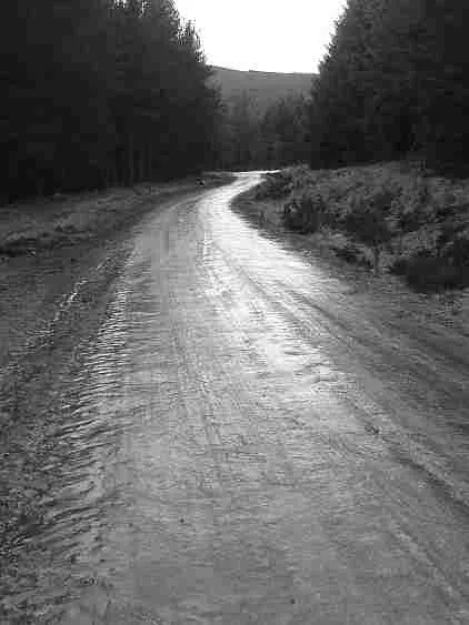 Alamo City on Ice: Frigid Temperatures and Dangerous Icy Roads to Persist Through Sunday